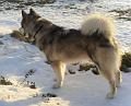scout 12-2010 6
